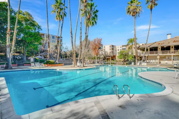 $2,000 | 490 North Civic Drive, Unit 409, Walnut Creek, CA 94596