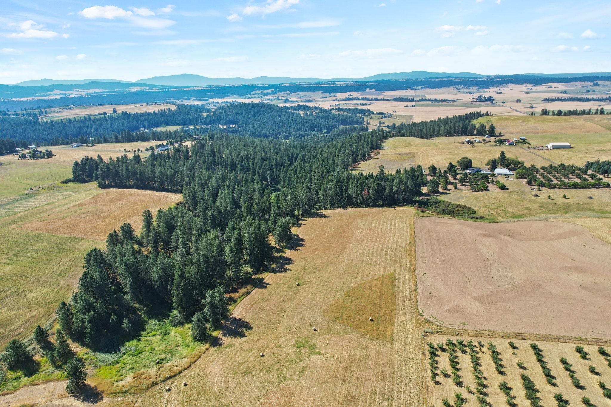 Xxxx East Greenbluff Road Colbert, WA 99005 - Photo 13 of 14