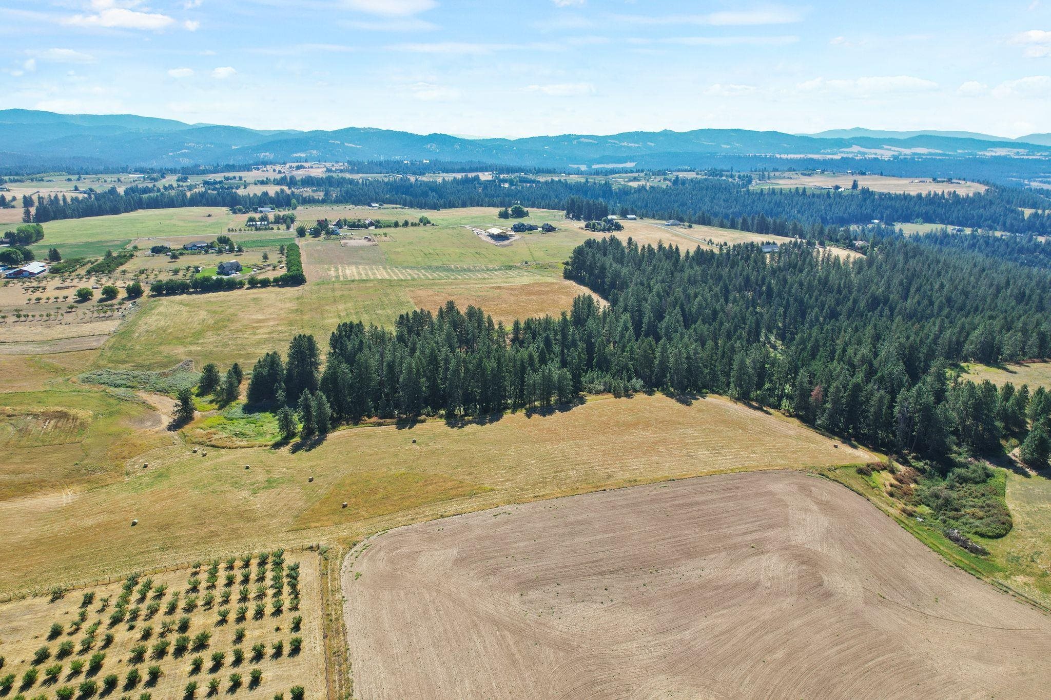 Xxxx East Greenbluff Road Colbert, WA 99005 - Photo 14 of 14