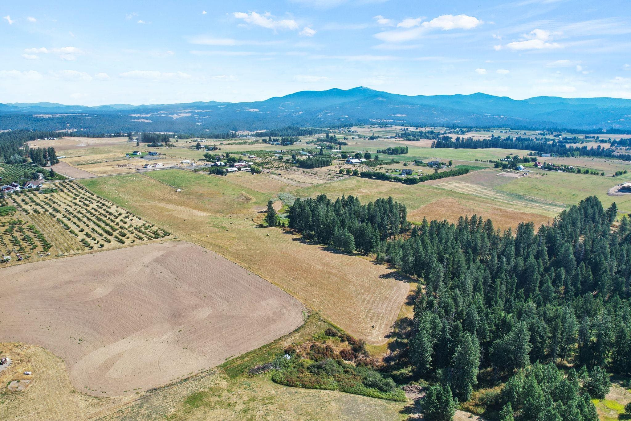 Xxxx East Greenbluff Road Colbert, WA 99005 - Photo 2 of 14