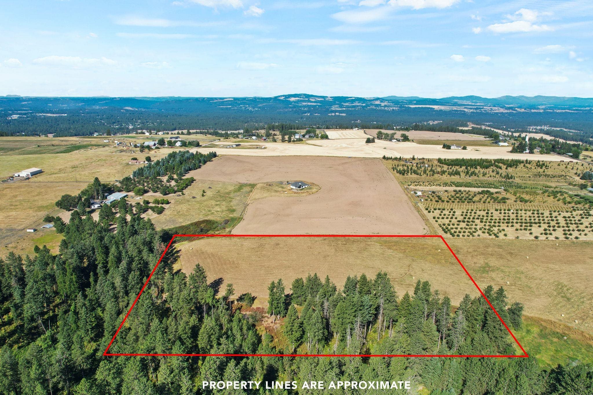 Xxxx East Greenbluff Road Colbert, WA 99005 - Photo 3 of 14