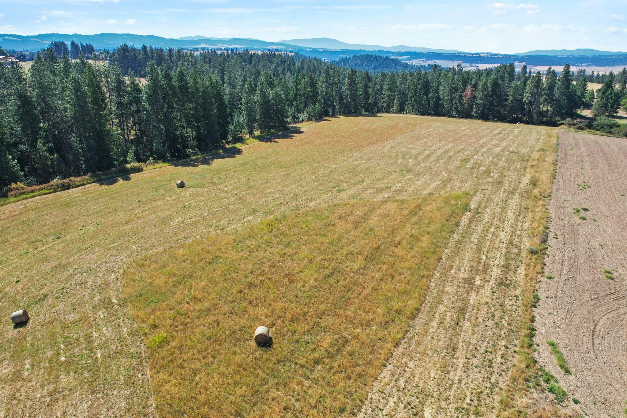 Xxxx East Greenbluff Road Colbert, WA 99005 - Photo 5 of 14