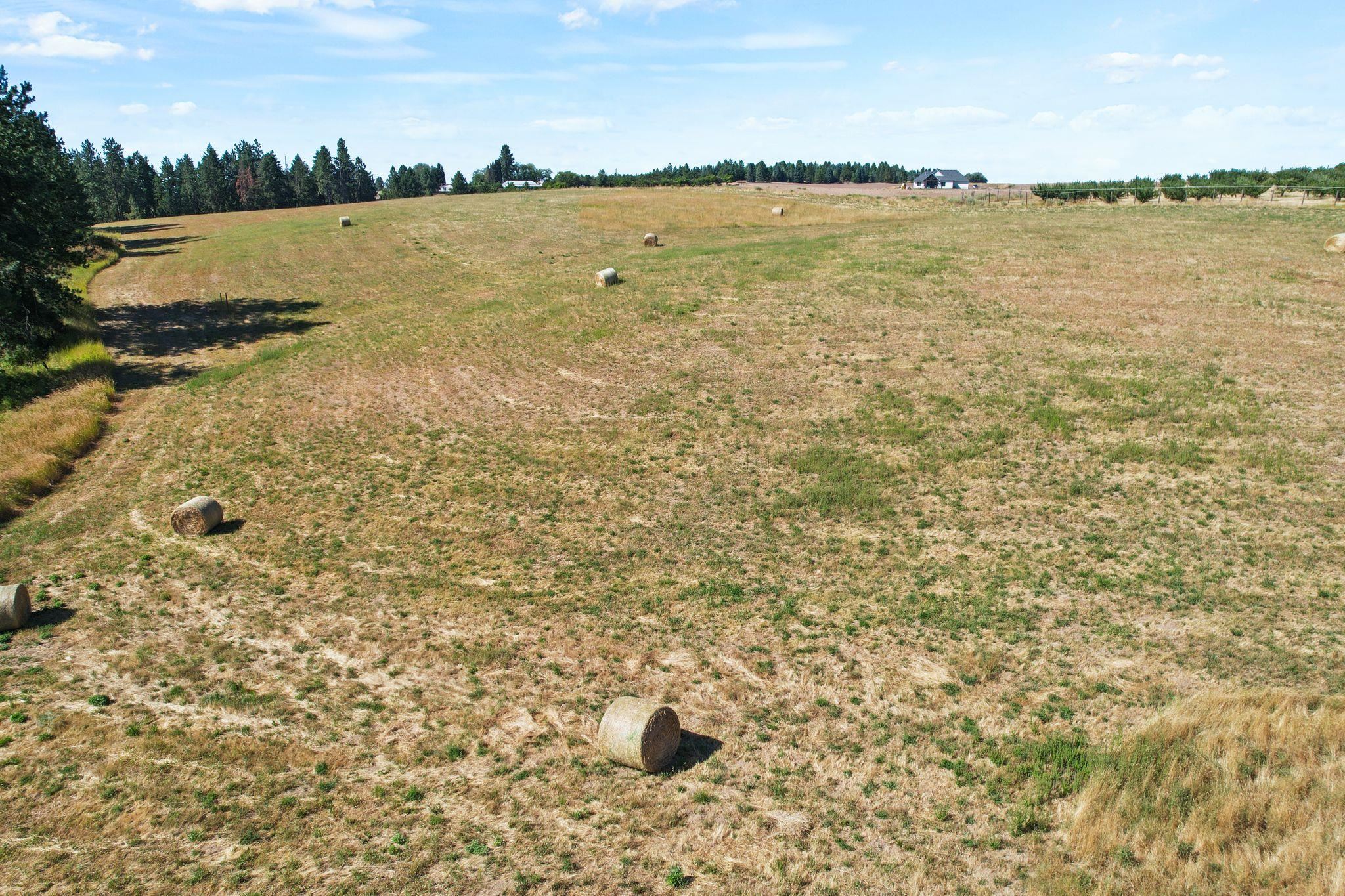 Xxxx East Greenbluff Road Colbert, WA 99005 - Photo 6 of 14