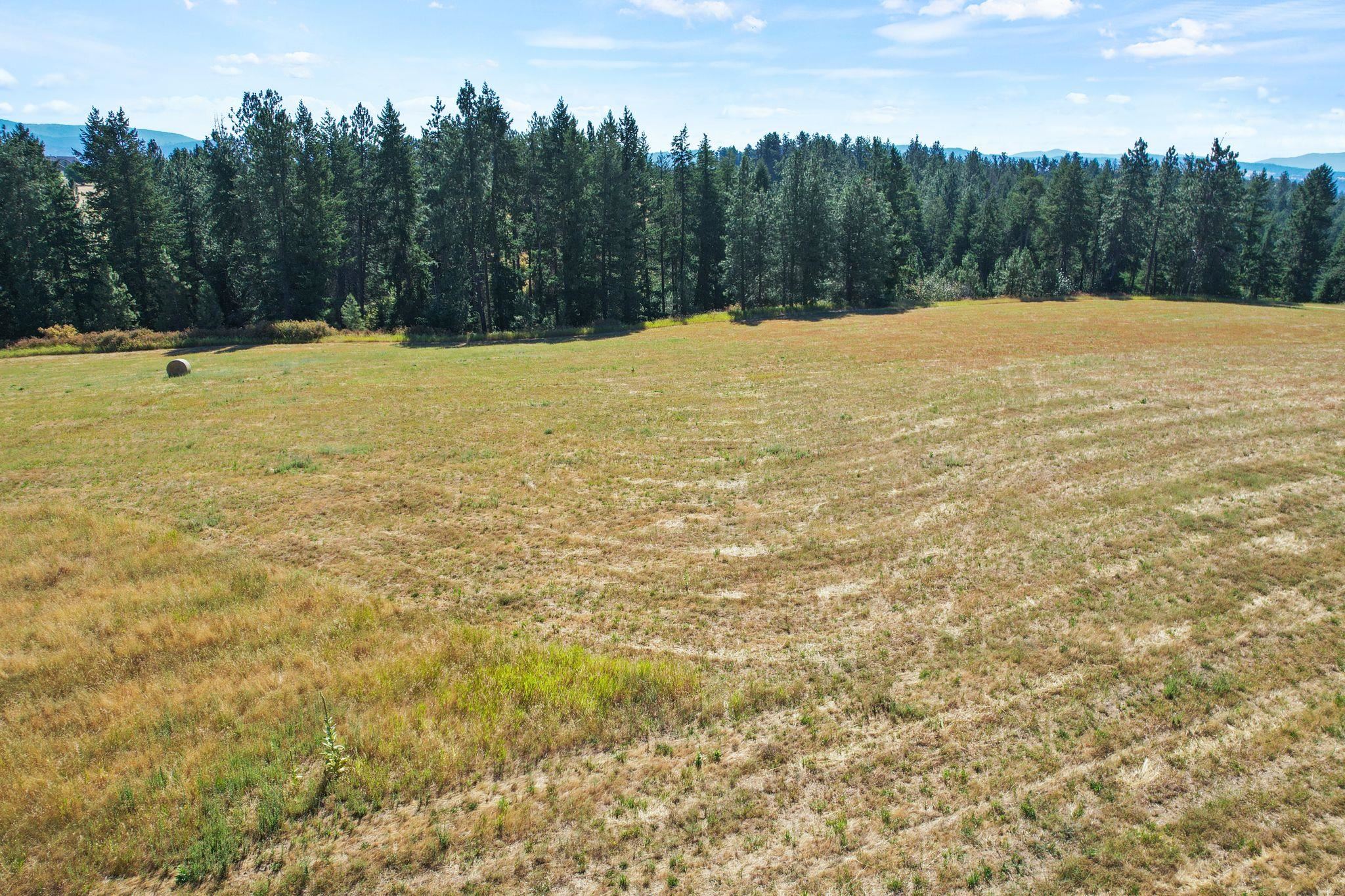 Xxxx East Greenbluff Road Colbert, WA 99005 - Photo 7 of 14