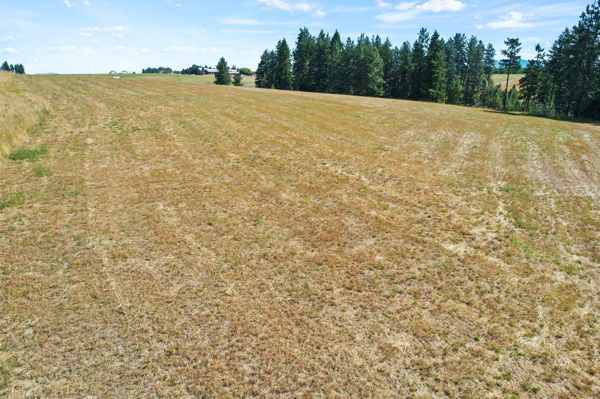 Xxxx East Greenbluff Road Colbert, WA 99005 - Photo 8 of 14