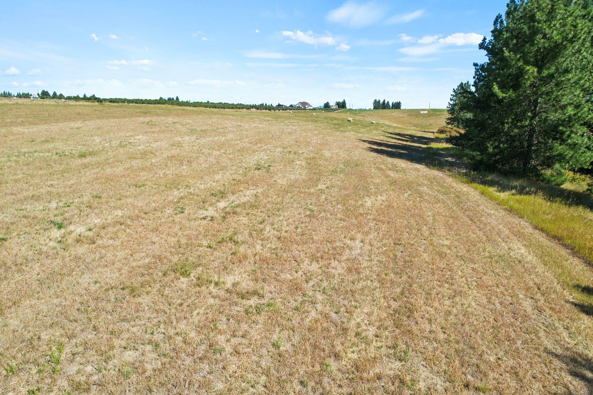 Xxxx East Greenbluff Road Colbert, WA 99005 - Photo 9 of 14