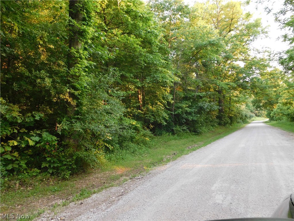 0 Man Of War Road Walker, WV 26180 - Photo 6 of 10 Gallery Image 6