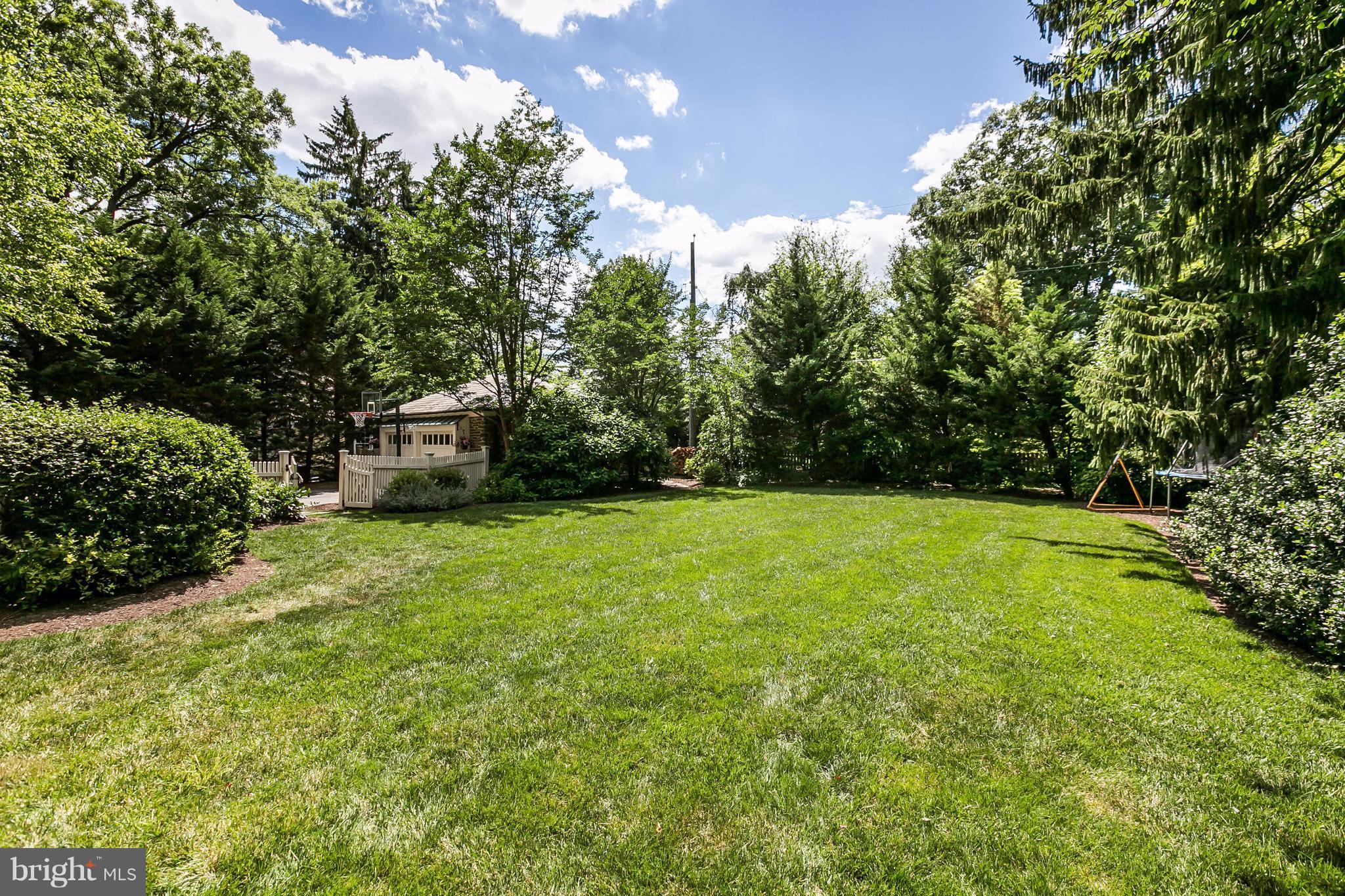 6306 Blenheim Road Baltimore, MD 21212 - Photo 29 of 30 a view of a yard with plants and large trees