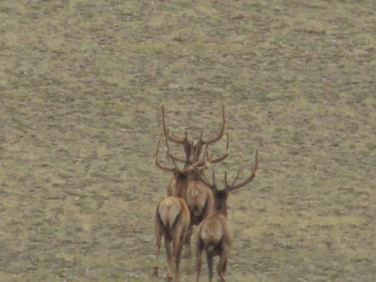 Shamrock Road Rawlins, WY 82301 - Photo 27 of 30