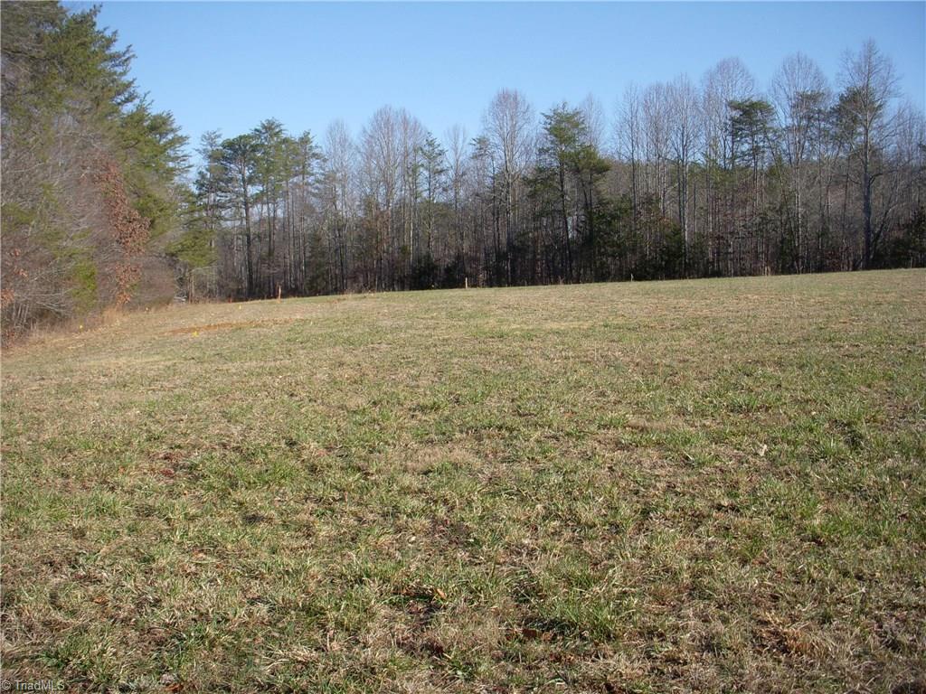 6-ac Stevens Road Westfield, NC 27053 - Photo 4 of 8 This is where the property perc test was taken. House location was to the right.