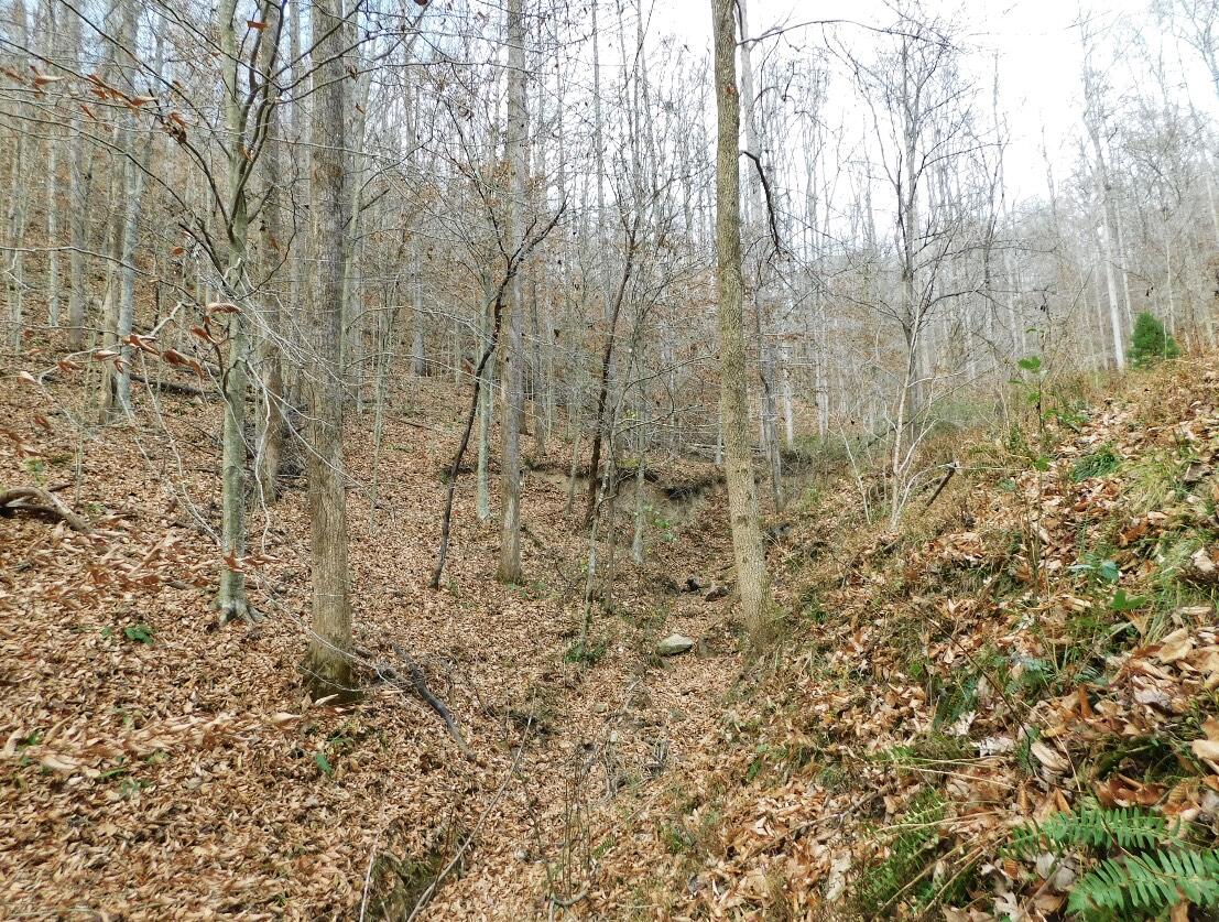 8690 Beattyville Road Jackson, KY 41339 - Photo 97 of 143 7DA057E7-7AF3-4ED1-BFD5-9211FC5444DD
