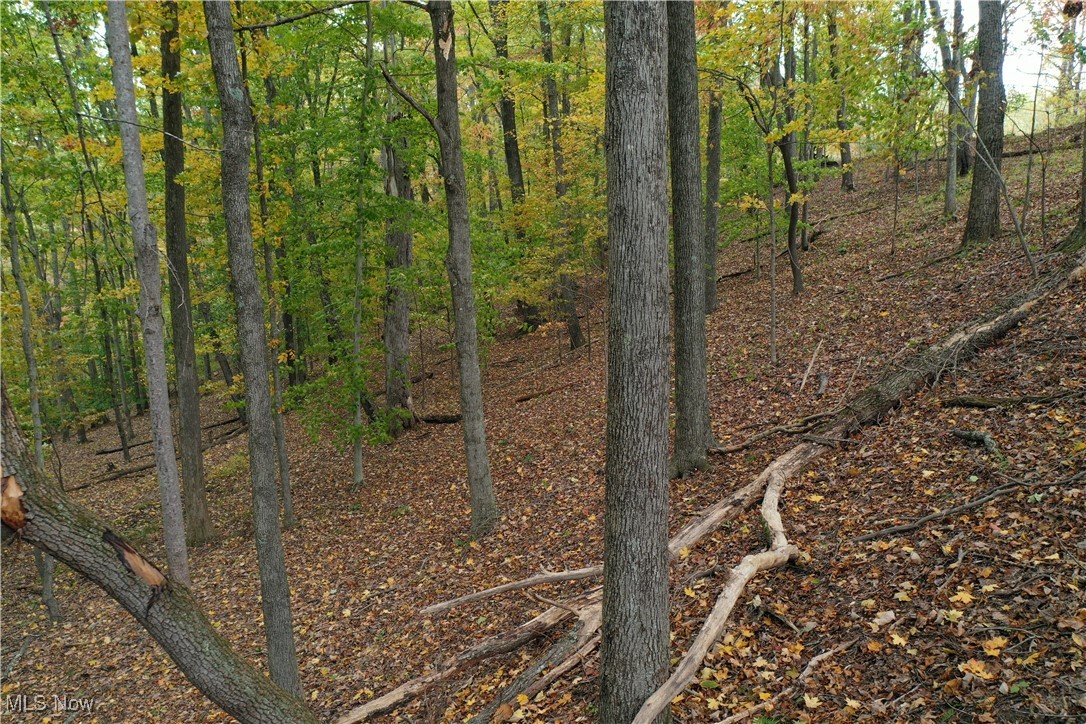 731 Riffle Run Road Grantsville, WV 26147 - Photo 23 of 30