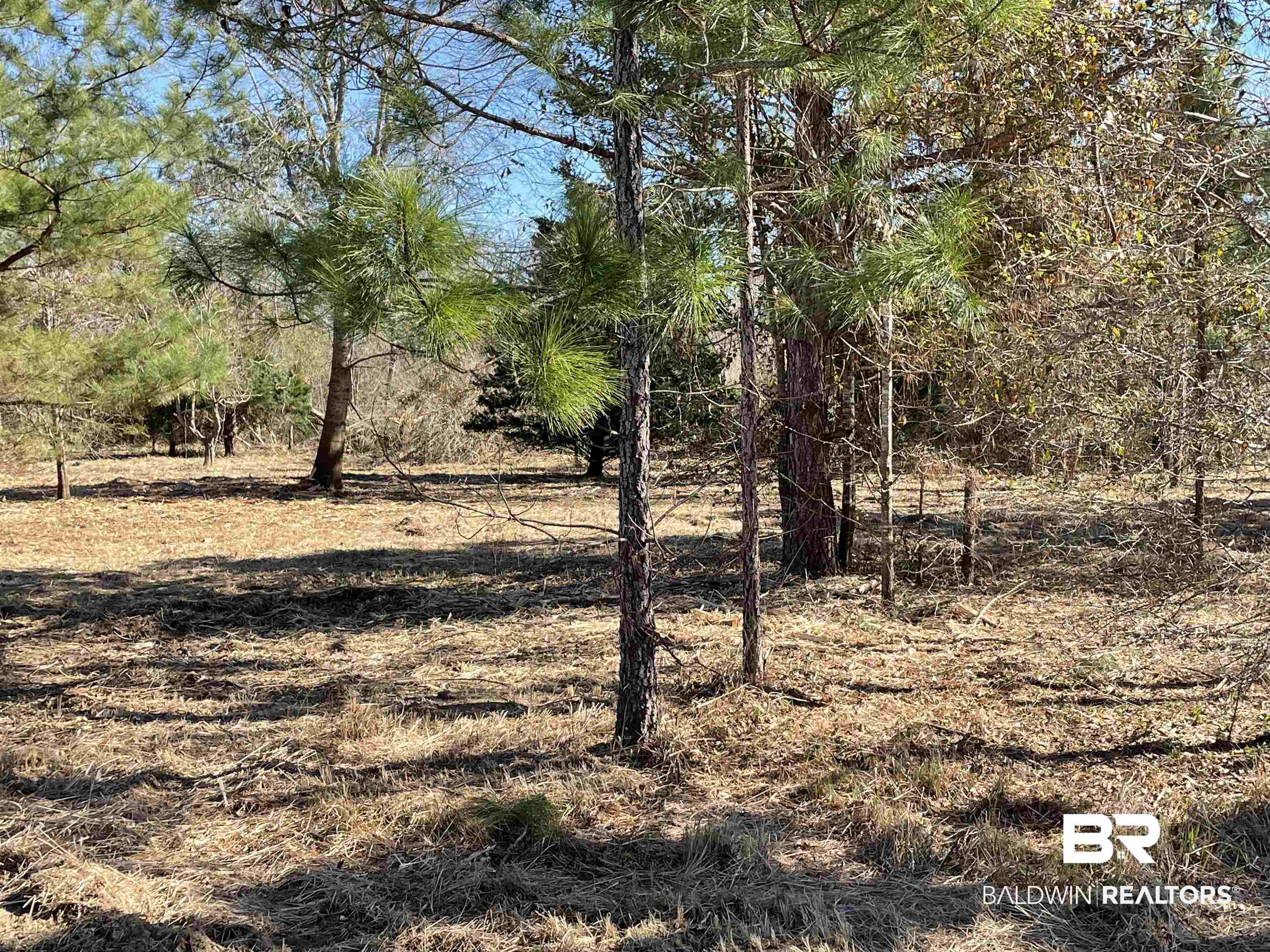 0 Makaira Drive Foley, AL 36535 - Photo 24 of 33