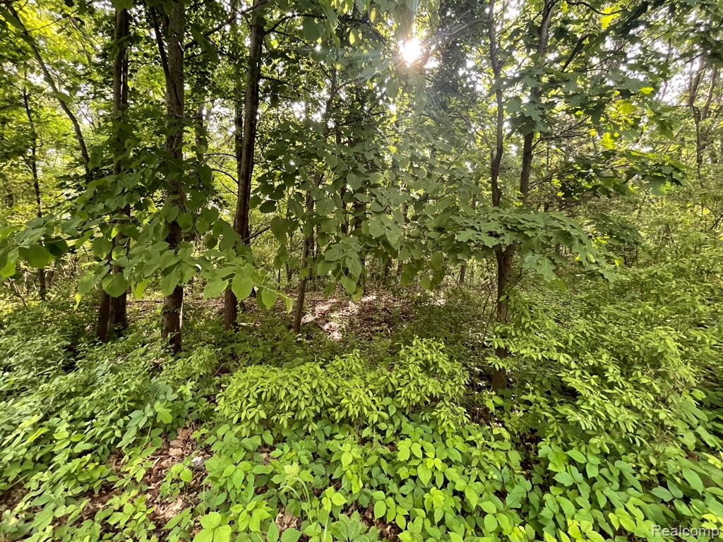 8 North Tipsico Lake Road Highland, MI 48357 - Photo 10 of 18