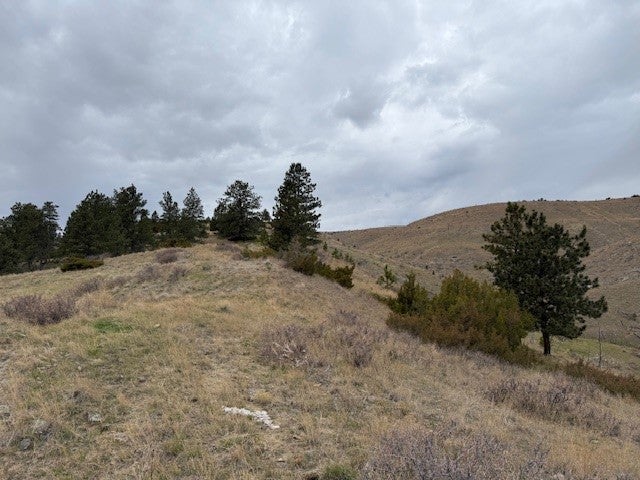 Tbd Brumfield Rd Tbd Brumfield Road Reed Point, MT 59069 - Photo 14 of 24 Gallery Image 14