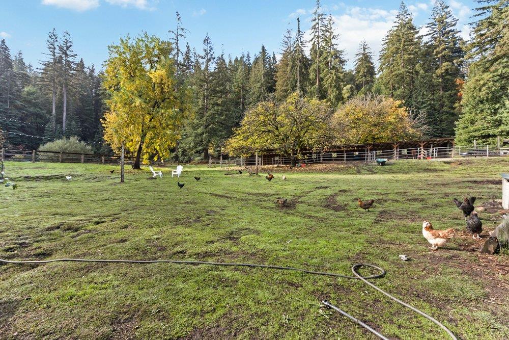 671 Brimblecom Road Boulder Creek, CA 95006 - Photo 75 of 100 Gallery Image 75