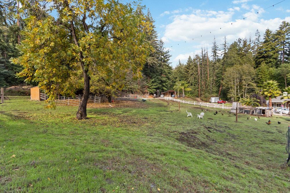 671 Brimblecom Road Boulder Creek, CA 95006 - Photo 77 of 100 Gallery Image 77