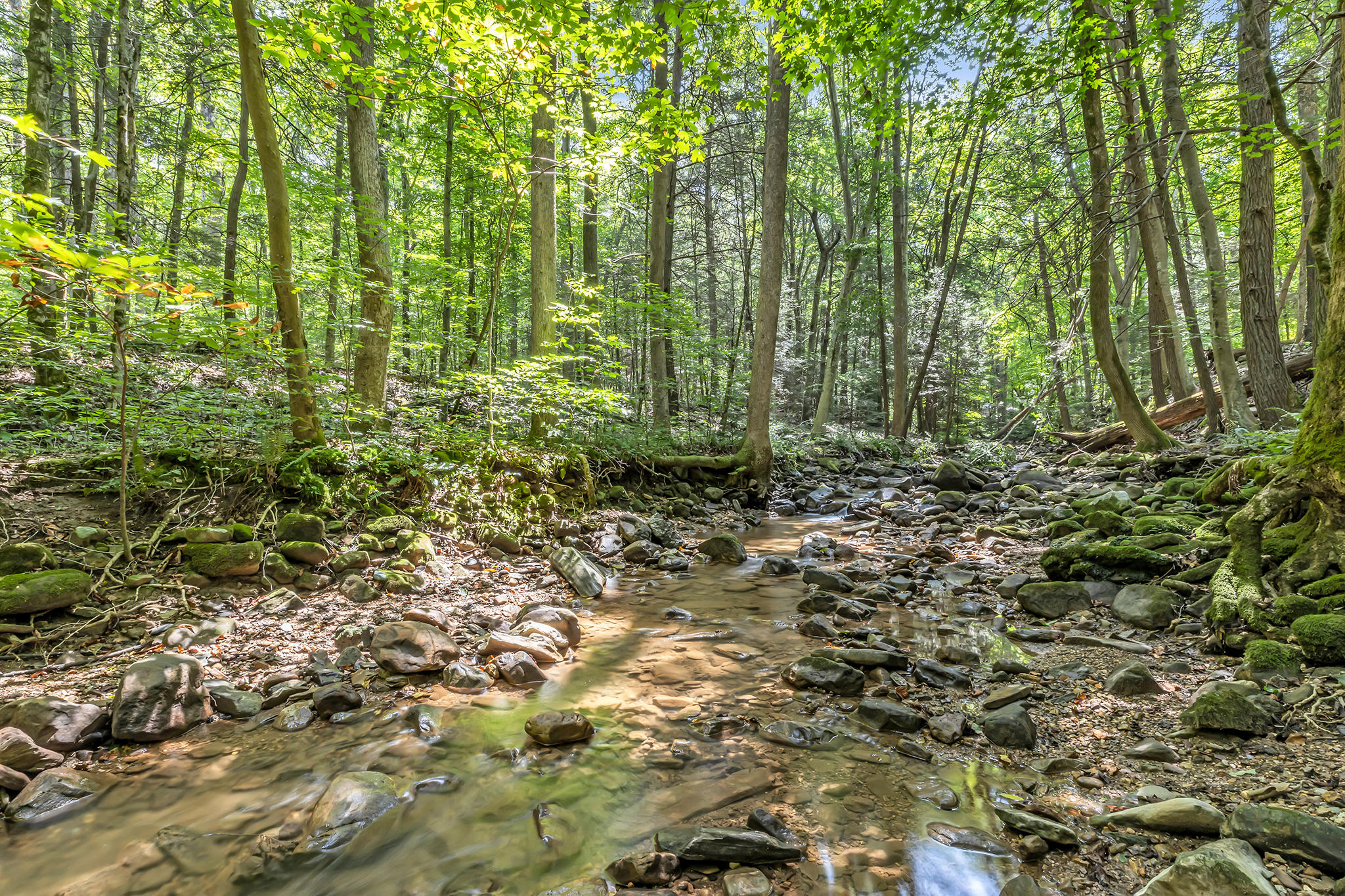 0 Henson Gap Road, Unit LOT 11 Dunlap, TN 37327 - Photo 1 of 17 4T1A9249