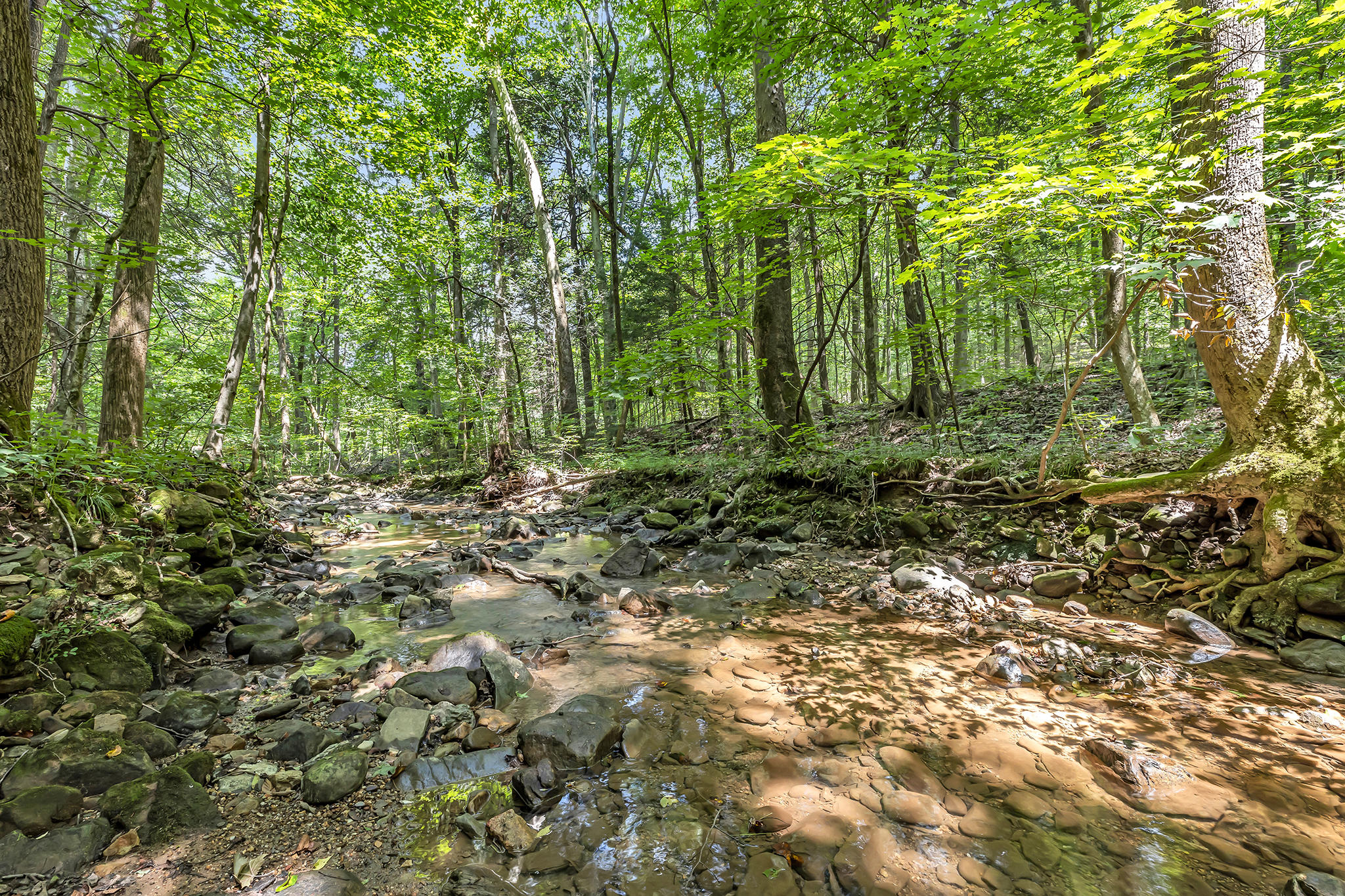 0 Henson Gap Road, Unit LOT 11 Dunlap, TN 37327 - Photo 2 of 17 4T1A9255