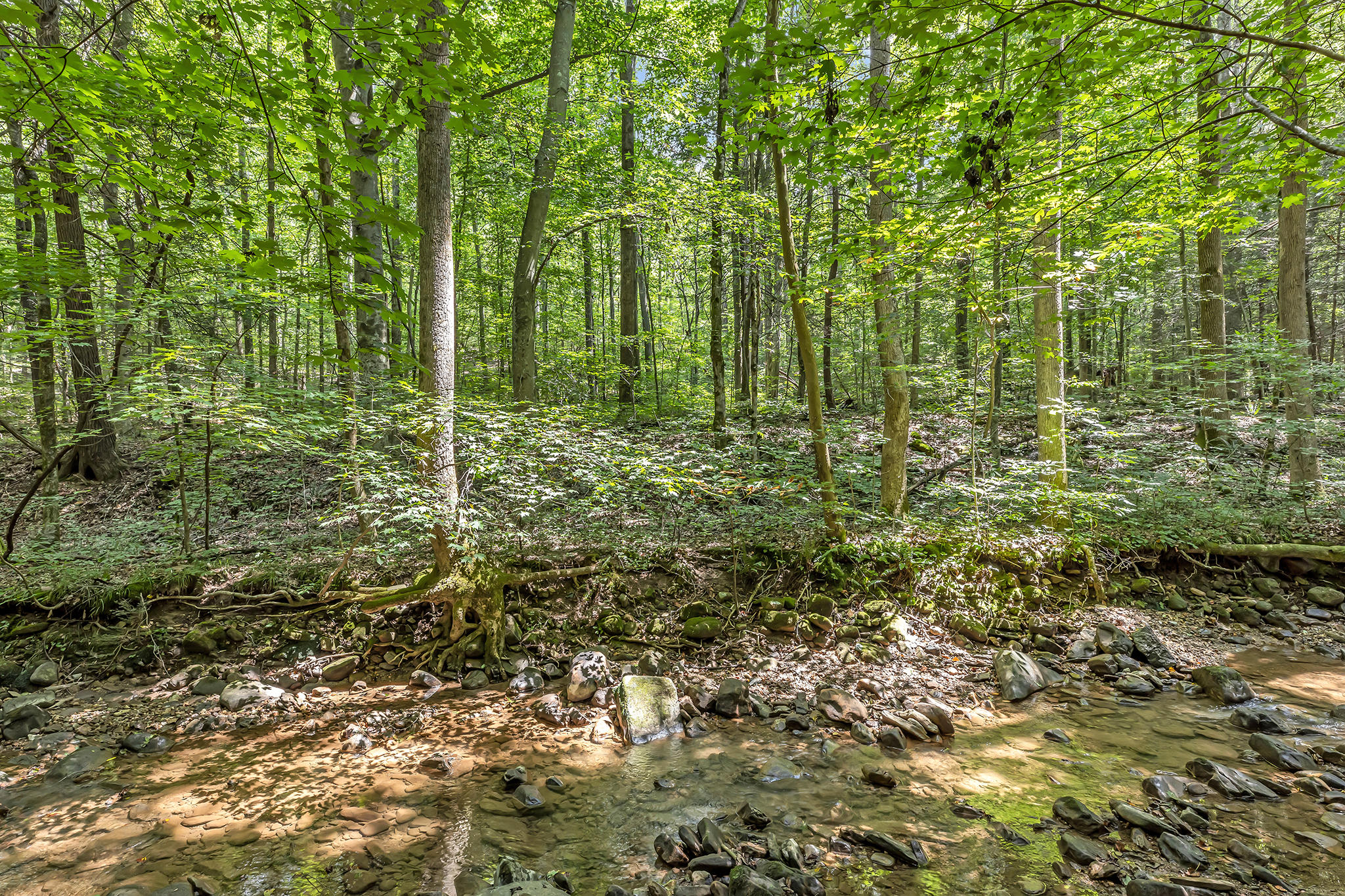 0 Henson Gap Road, Unit LOT 11 Dunlap, TN 37327 - Photo 3 of 17 4T1A9258