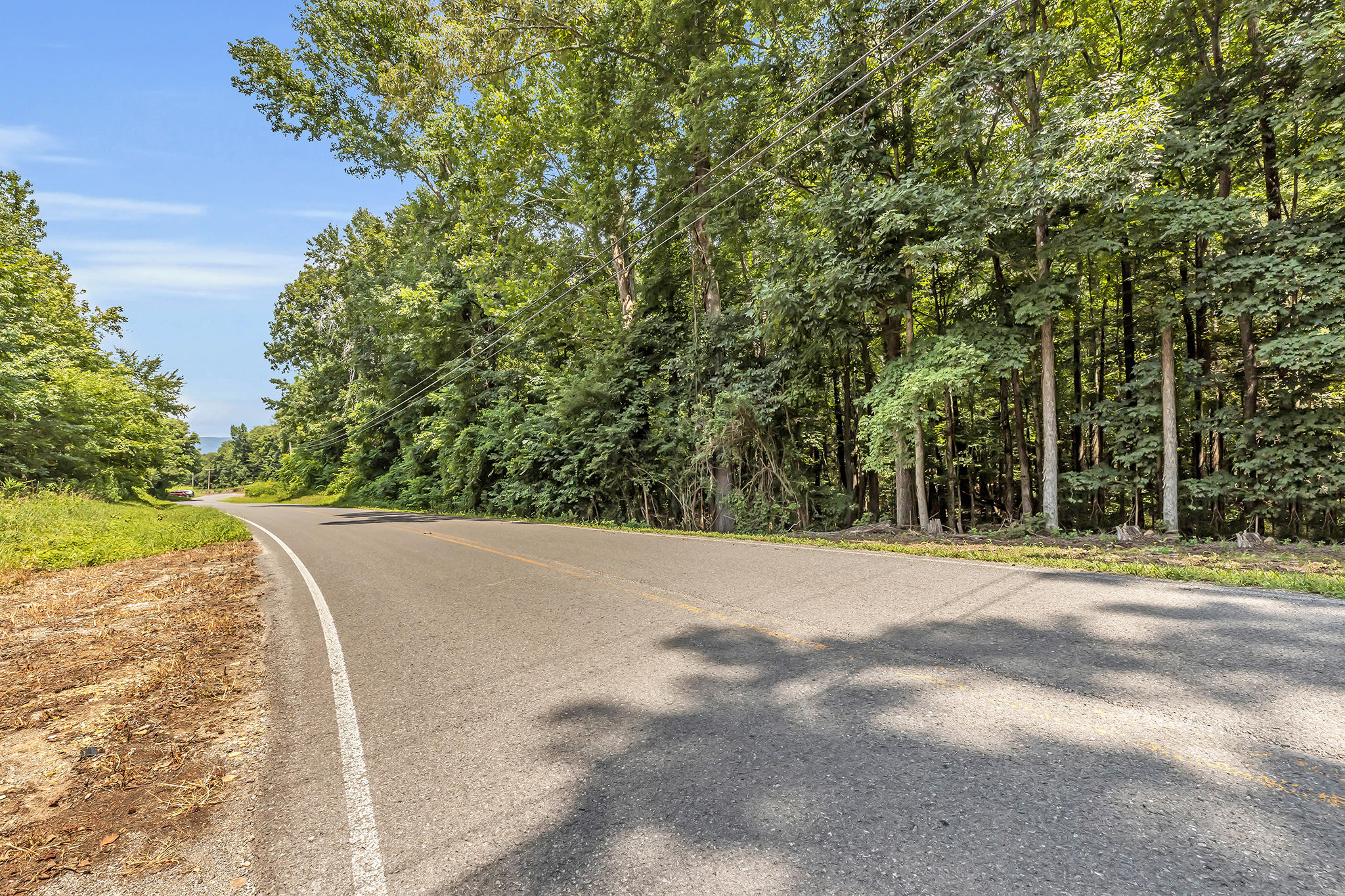 0 Henson Gap Road, Unit LOT 11 Dunlap, TN 37327 - Photo 4 of 17 4T1A9273