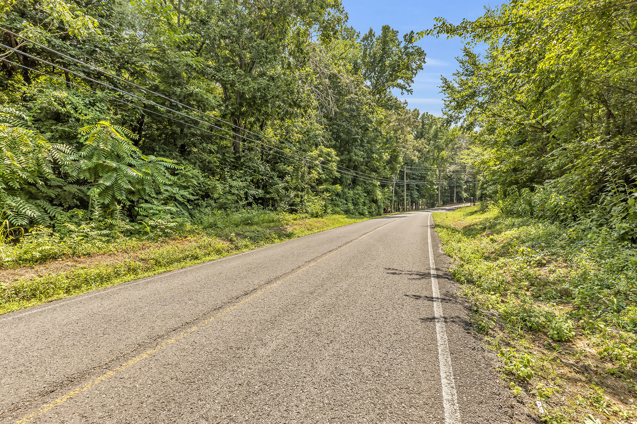 0 Henson Gap Road, Unit LOT 11 Dunlap, TN 37327 - Photo 5 of 17 4T1A9279