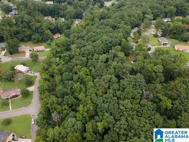 1471 Marlin Springs Road, Unit 1 Birmingham, AL 35215 - Photo 4 of 5