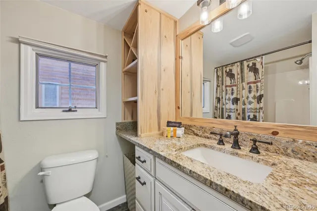 a view of a forest with a tree