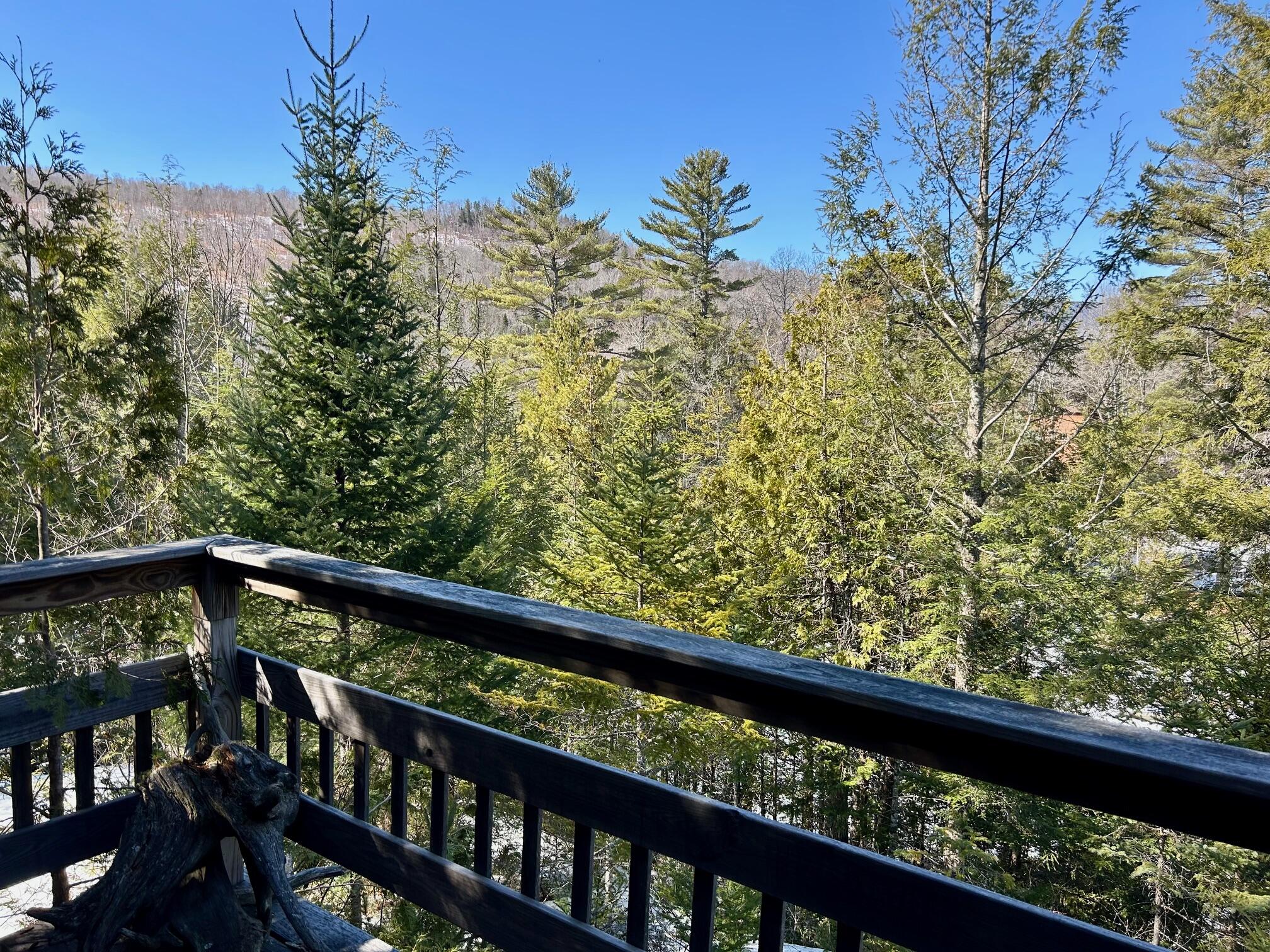 1050 Spring Farm Road Carrabassett Valley, ME 04947 - Photo 13 of 18 View from Deck