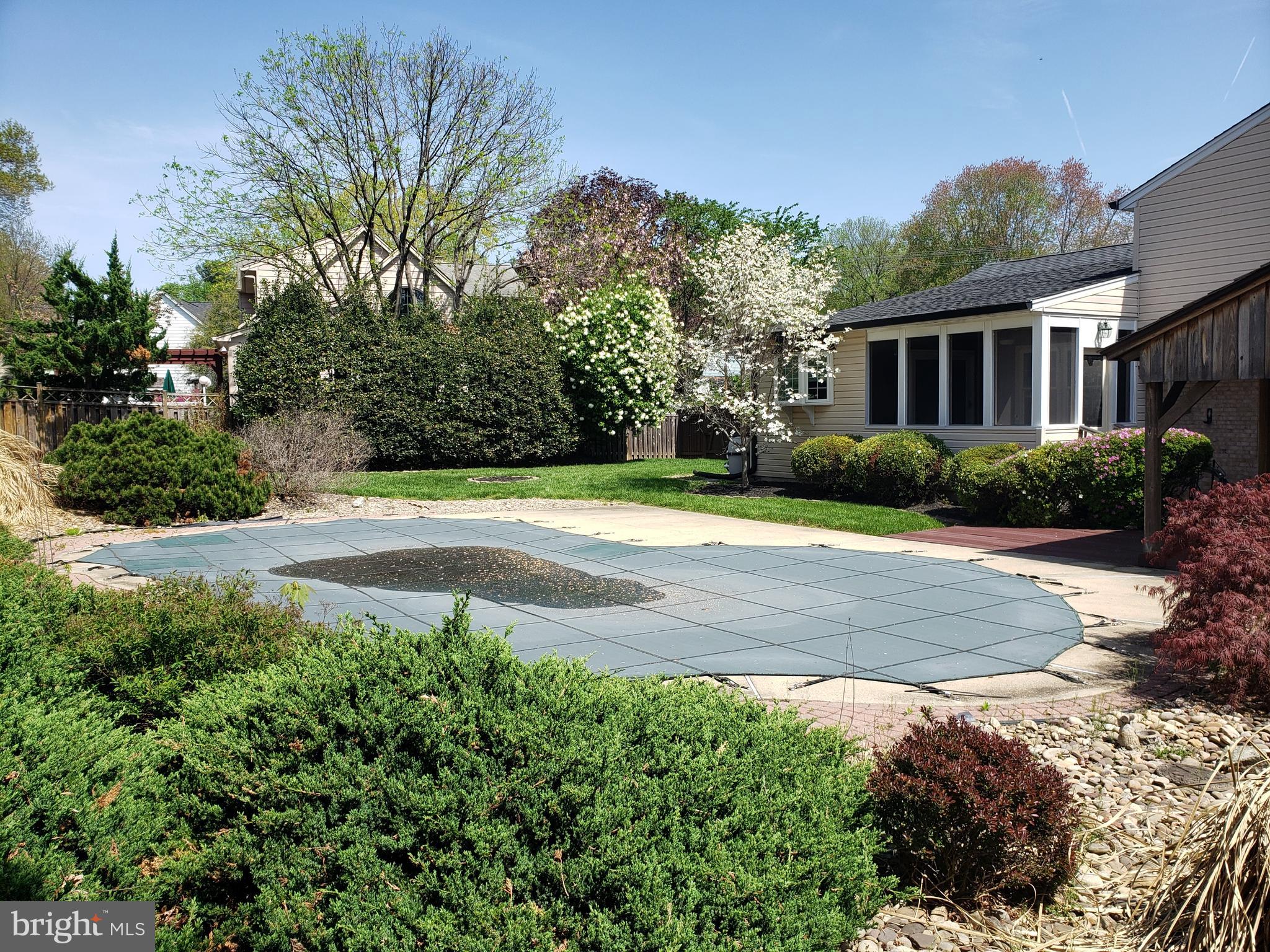 14604 Notley Road Silver Spring, MD 20905 - Photo 23 of 50 Pool not opened yet