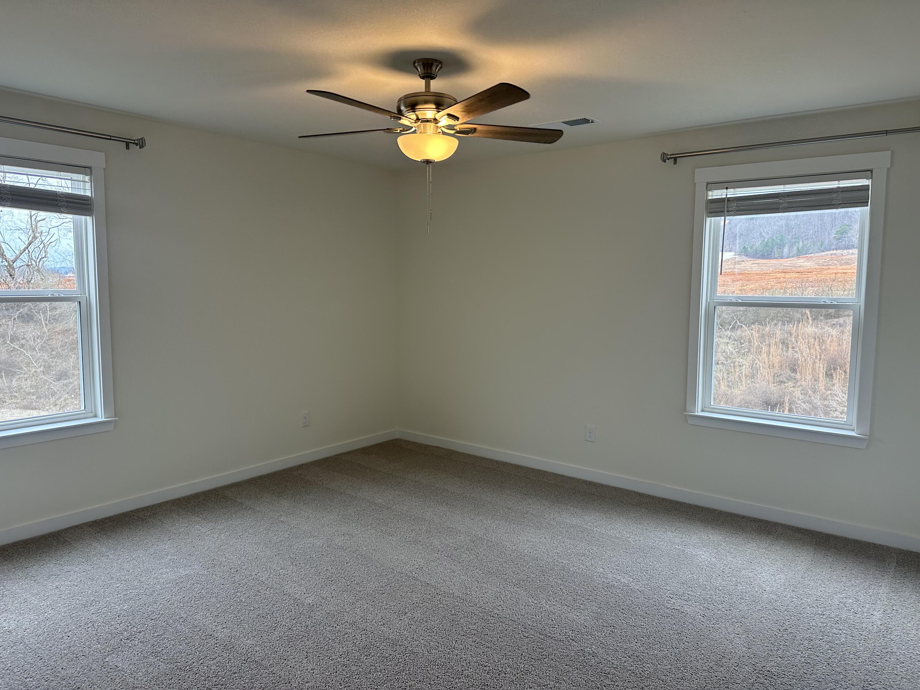 10753 Upland Drive Apison, TN 37302 - Photo 28 of 46 IMG_7992
