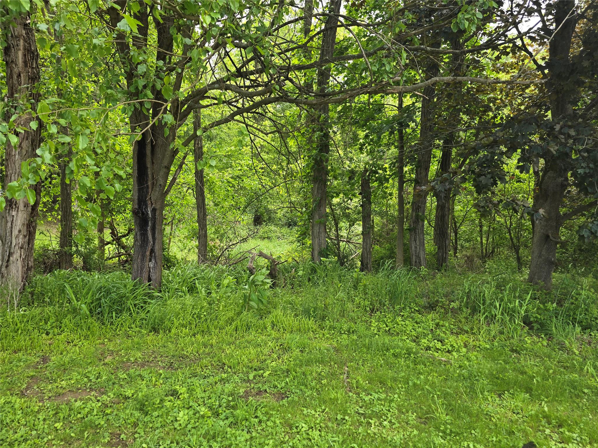 a view of outdoor space and green space