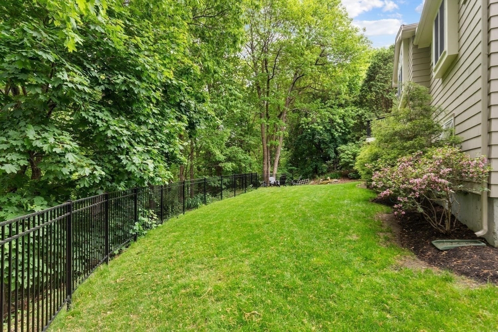 105 Thornberry Road Winchester, MA 01890 - Photo 30 of 35 a view of a lush green forest