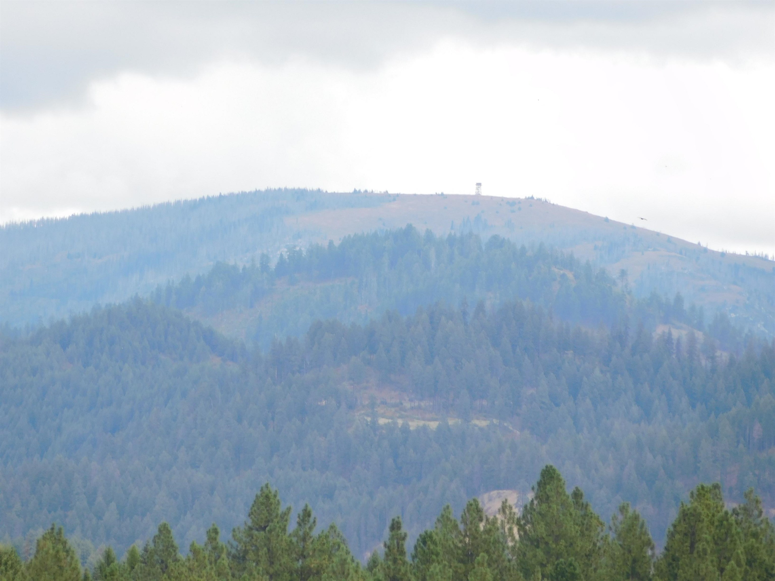 215 River Road Usk, WA 99180 - Photo 7 of 15