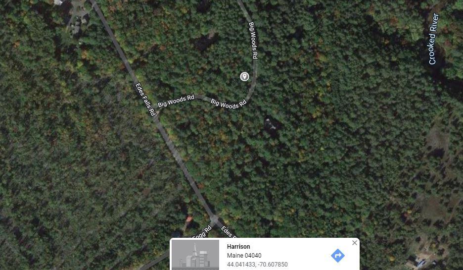 Lot 3 Big Woods Road Harrison, ME 04040 - Photo 4 of 26 big woods 4
