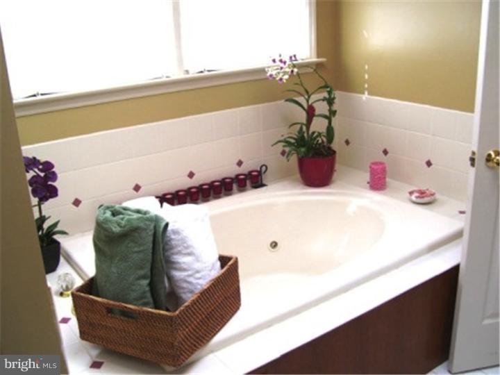 109 Grande Boulevard Sinking Spring, PA 19608 - Photo 20 of 21 Bathroom