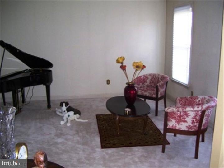 109 Grande Boulevard Sinking Spring, PA 19608 - Photo 6 of 21 Bonus Room