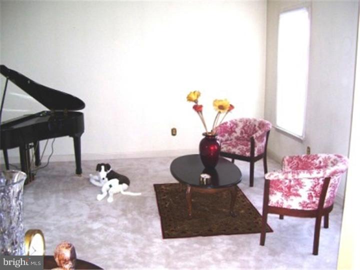 109 Grande Boulevard Sinking Spring, PA 19608 - Photo 7 of 21 Bonus Room