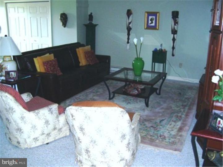 109 Grande Boulevard Sinking Spring, PA 19608 - Photo 8 of 21 Living Room