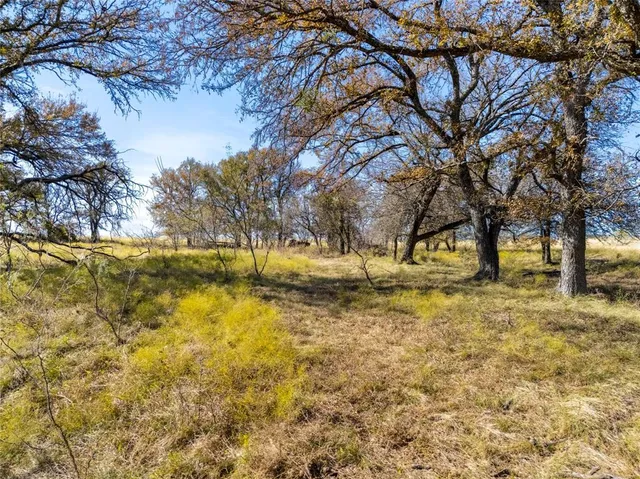 $520,000 | Lot 1-7561 Fm 106 & Fm 339 Rd Mount North, Mount Calm, TX 76673