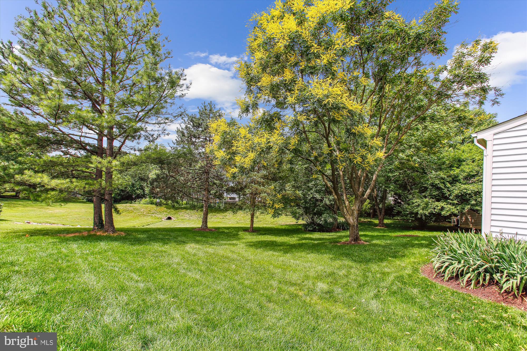 6584 Forsythia Street Springfield, VA 22150 - Photo 51 of 63 Gallery Image 51
