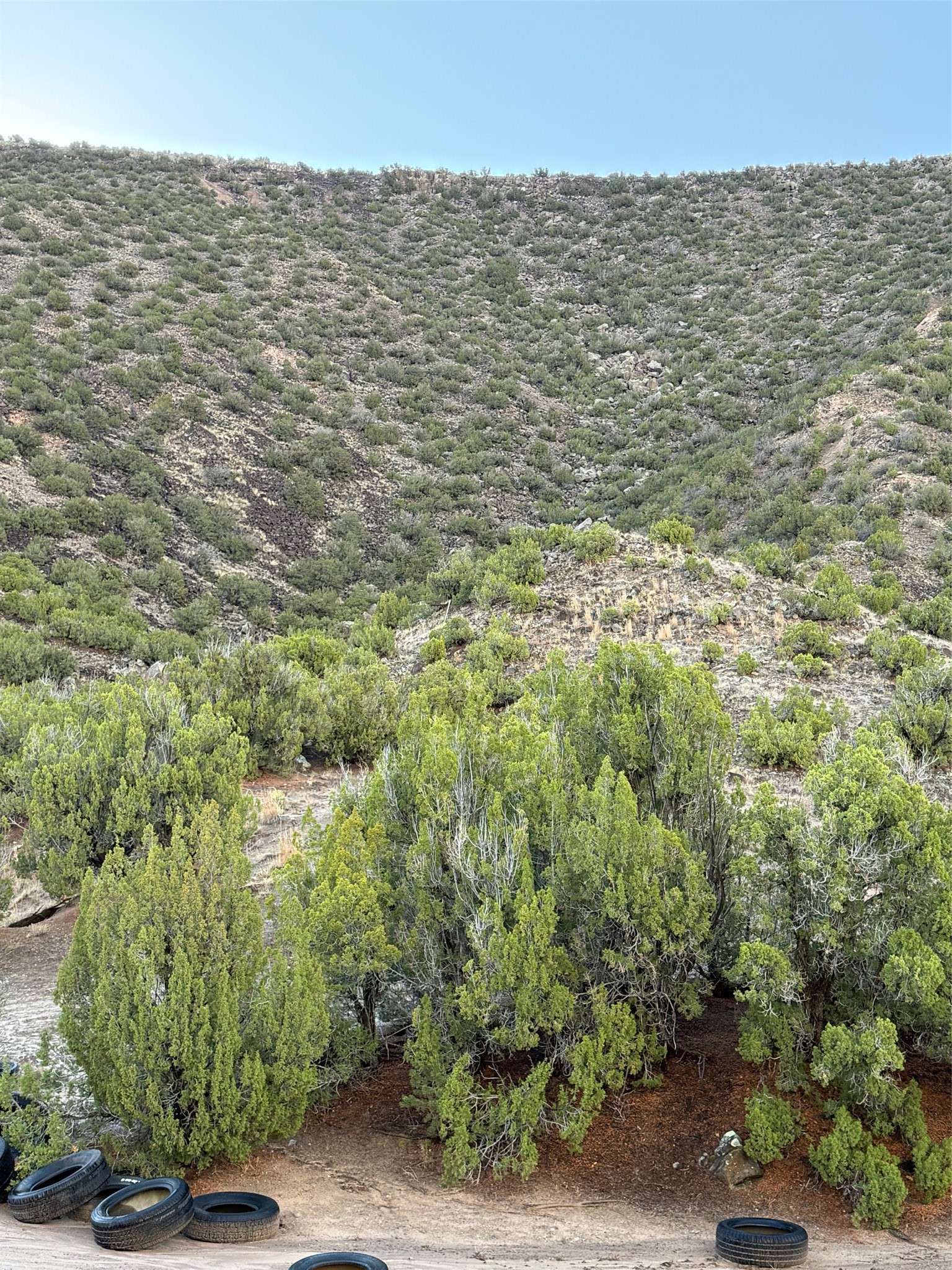 Tbd Lot 3 Tbd Road Ojo Caliente, NM 87549 - Photo 3 of 24