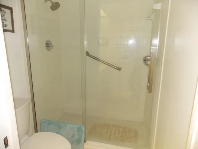 a bathroom with a shower and toilet