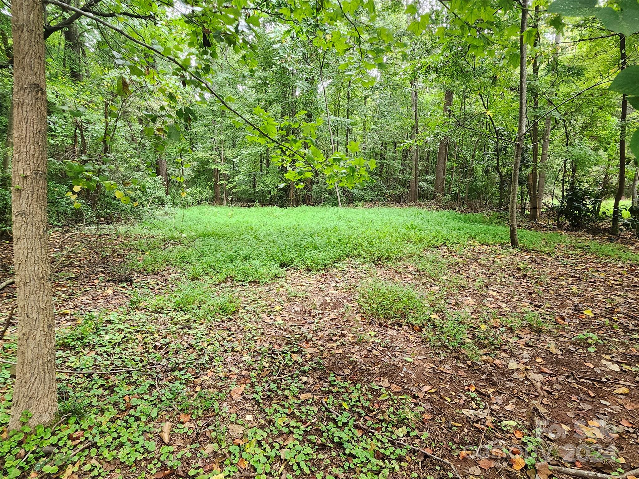 304 Gaither Road, Unit 2 Belmont, NC 28012 - Photo 10 of 12 Gallery Image 10