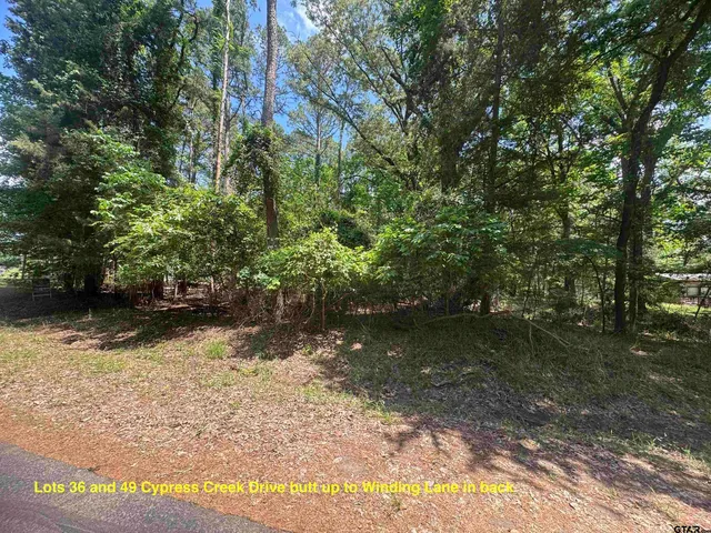 $9,500 | Lot 36 Cypress Creek Drive, Mount Vernon, TX 75457