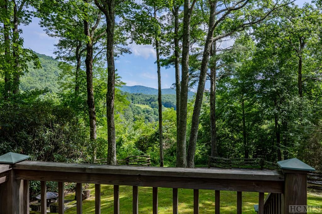 1465 Bee Tree Road Glenville, NC 28736 - Photo 3 of 27 Gallery Image 3