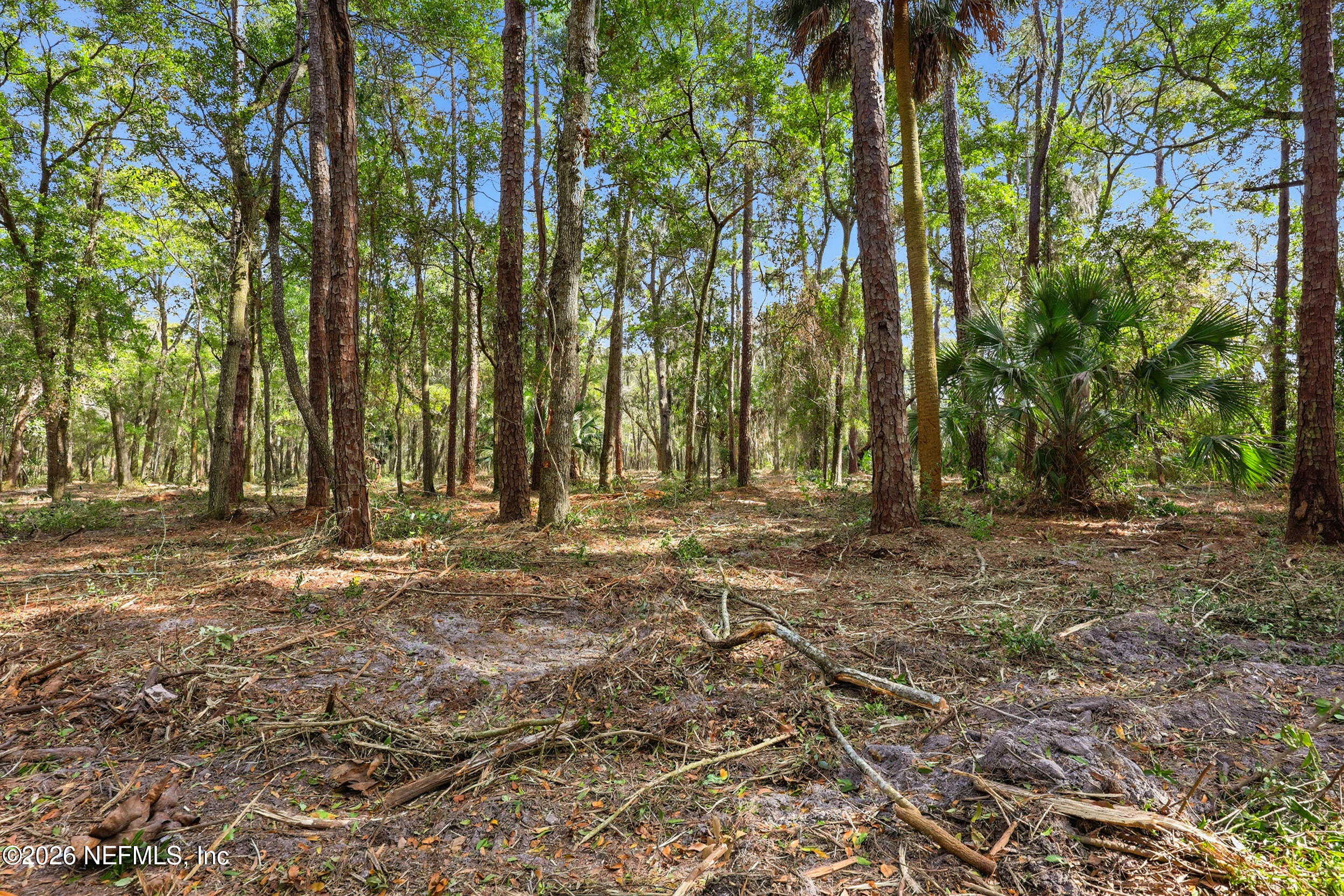 1 Caroline Ridge Lane East Jacksonville, FL 32225 - Photo 16 of 23 Under brushing complete