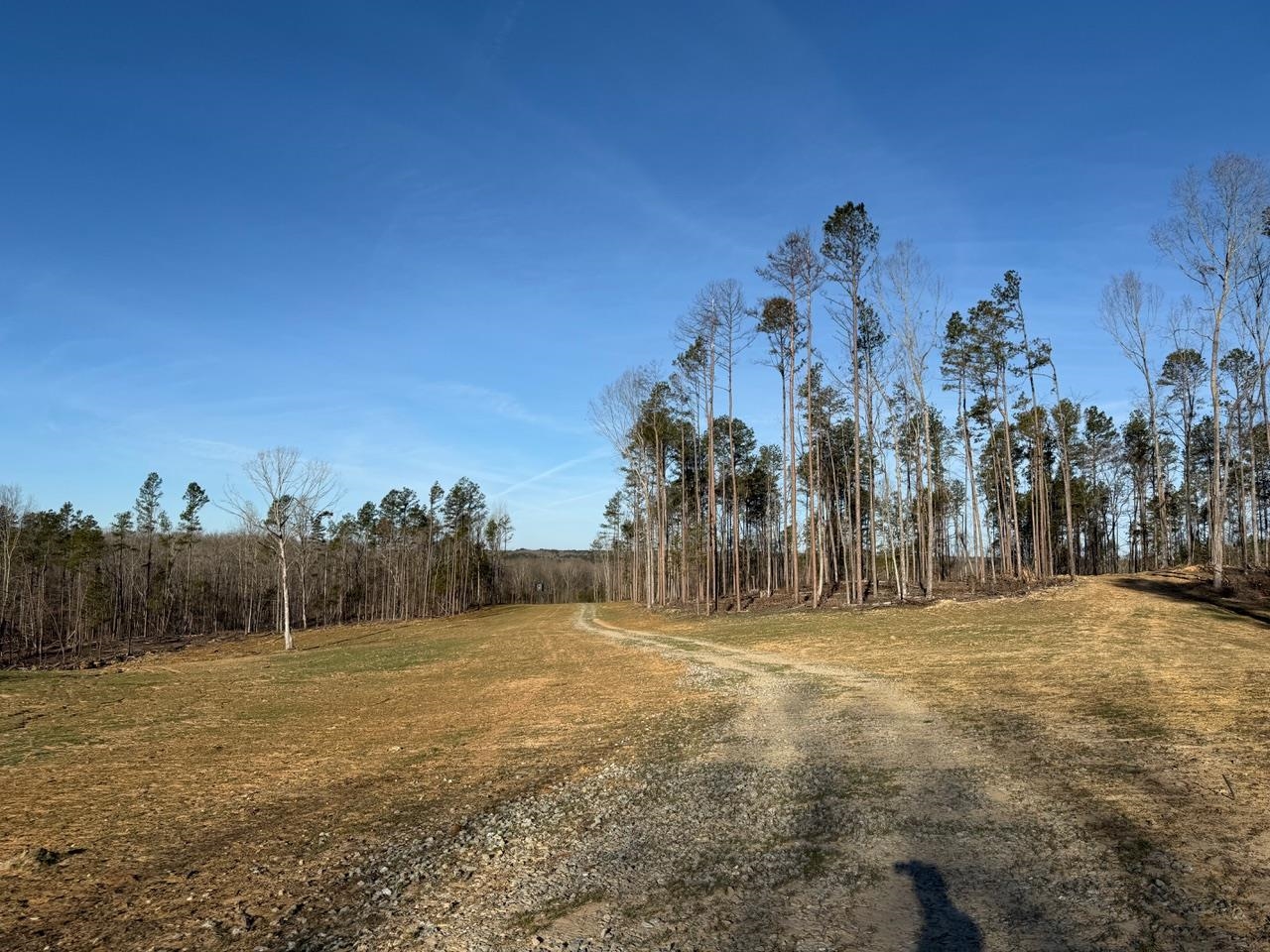 0 Old Enon Road Middleton, TN 38052 - Photo 11 of 19 a view of dirt field with large trees