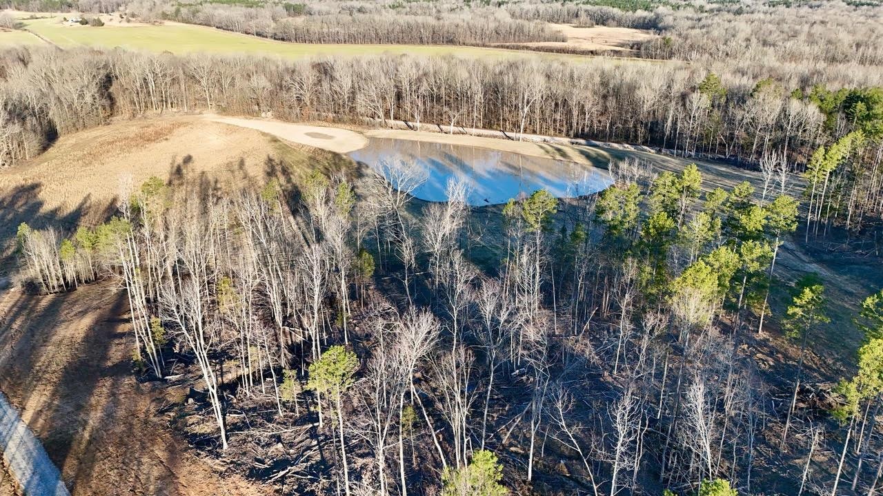 0 Old Enon Road Middleton, TN 38052 - Photo 14 of 19 a view of a backyard of a house