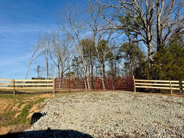 a view of a yard